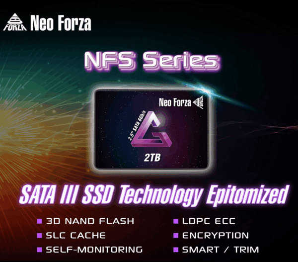 SSD SATA NFS01 2TB - Gambar 2