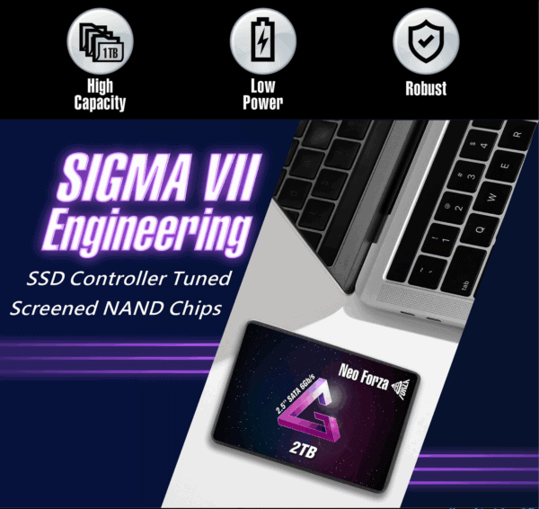 SSD SATA NFS01 2TB - Gambar 3